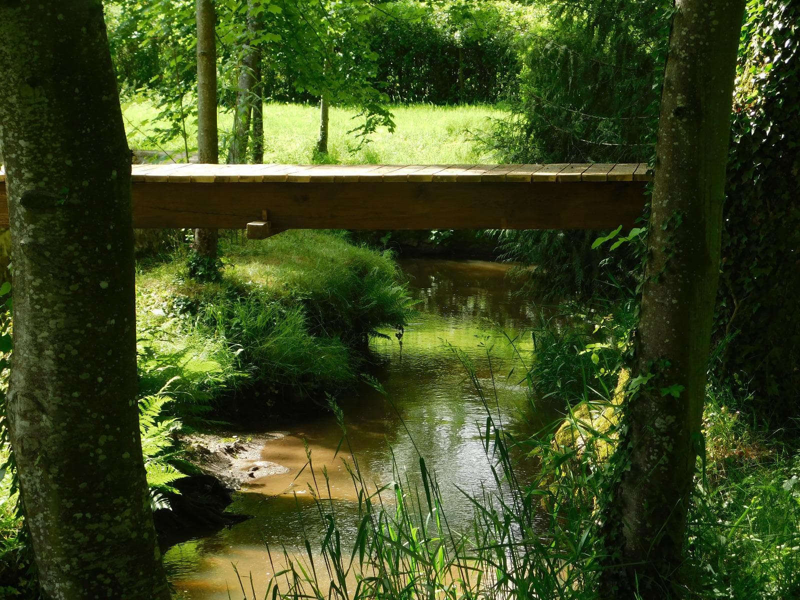 Maintenance detail 2